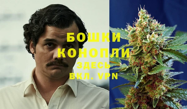 индика Алексеевка