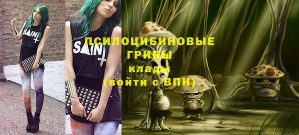 2c-b Алзамай
