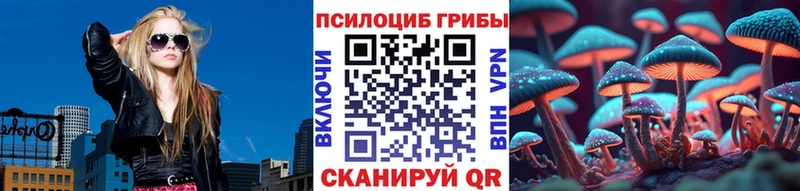 это телеграм  Буй  Псилоцибиновые грибы прущие грибы 