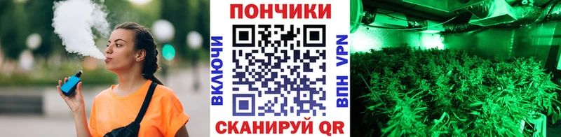 shop телеграм  Буй  Каннабис семена 